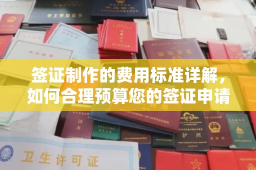 宾阳签证制作的费用标准详解，如何合理预算您的签证申请成本